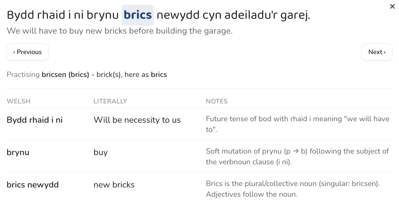 Bydd rhaid i ni brynu brics newydd explained word by word: each part, a literal translation (Will be necessity to us), and a note on why prynu becomes brynu